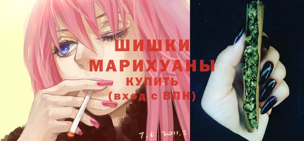 трава Коряжма