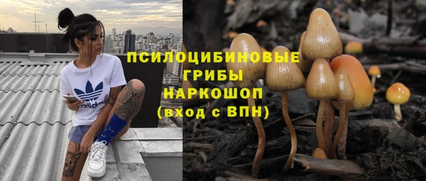 хмурый Армянск