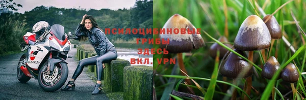 бутик Аркадак