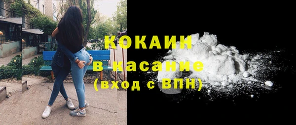 трава Коряжма
