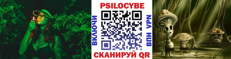 где купить   Балашов  Псилоцибиновые грибы Magic Shrooms 